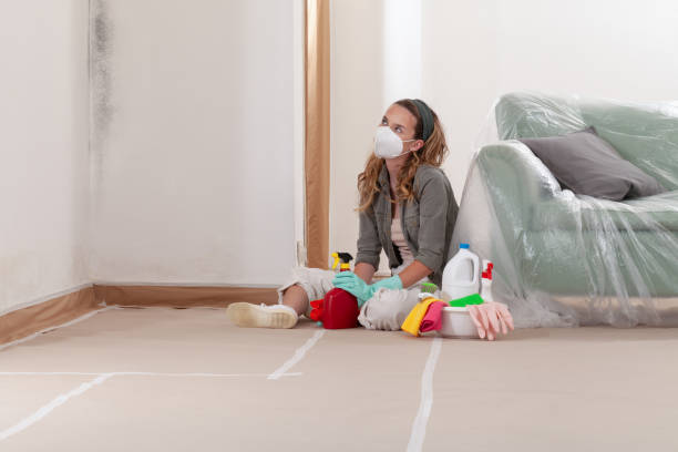 Reliable Mold Cleanup contractor in Williamsport, PA by WQB Mold Removal