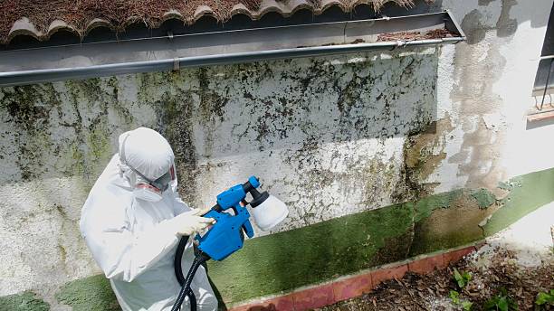 Top rated local Mold Cleanup specialists in Williamsport, PA